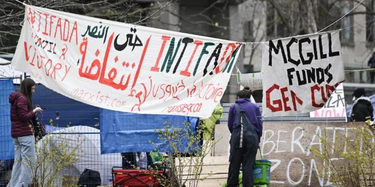Estudiantes de universidades canadienses erigen campamentos anti Israel y exigen desinversión