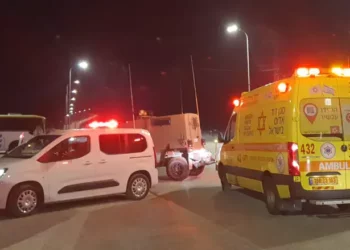 Rescuers Without Borders