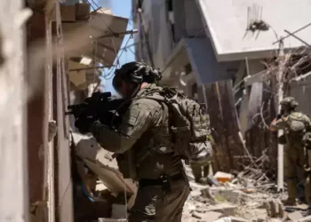 IDF
