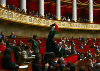 El diputado izquierdista francés de La France Insoumise (LFI), Sebastien Delogu, ondea una bandera nacional palestina durante una sesión de preguntas al gobierno en la Asamblea Nacional en París el 28 de mayo de 2024. (Miguel Medina/AFP)