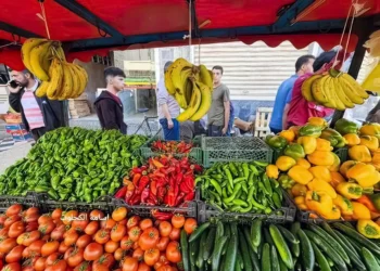 Desmontando el mito de la hambruna en Gaza