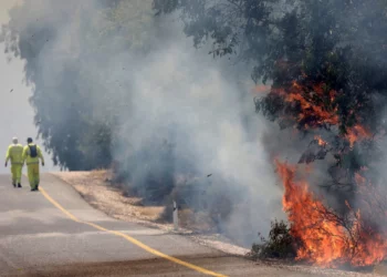 Los bomberos israelíes luchan contra las llamas en un campo en la zona de Banias, en los Altos del Golán, provocadas por cohetes lanzados desde el sur del Líbano el 9 de junio de 2024. (Jalaa MAREY / AFP)