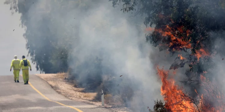 Los bomberos israelíes luchan contra las llamas en un campo en la zona de Banias, en los Altos del Golán, provocadas por cohetes lanzados desde el sur del Líbano el 9 de junio de 2024. (Jalaa MAREY / AFP)