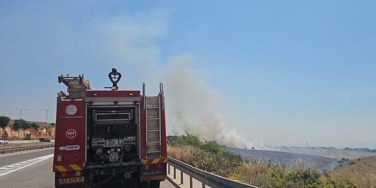 ### Equipos de emergencia combaten incendios en el norte de Israel tras ataque de Hezbolá

Unos 21 equipos de bomberos y ocho aviones están trabajando para extinguir varios incendios en el norte de Israel, provocados por ataques con cohetes de **Hezbolá**, informó el **Servicio de Bomberos y Rescate**.

La entidad detalló que hay tres focos principales de incendios: cerca de **Amiad**, en el bosque de **Ein Zeitim**, y cerca de **Beit Jann**.

**Hezbolá** lanzó más de 160 cohetes contra el norte de Israel esta mañana.