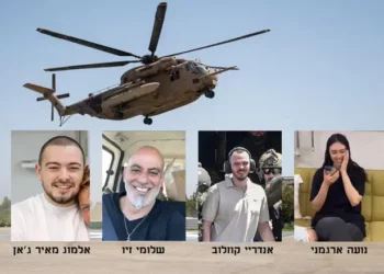 Avshalom Sassoni/Flash90, portavoz de las FDI