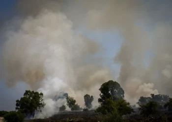 Los bomberos israelíes luchan contra las llamas en los Altos del Golán provocadas por misiles lanzados desde el Líbano, 11 de junio de 2024. (Michael Giladi/Flash90)