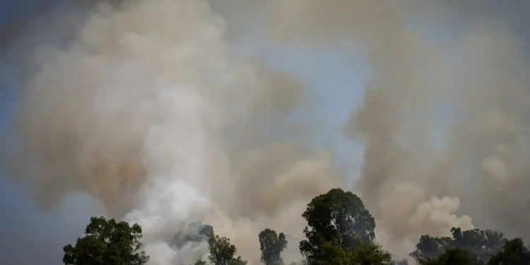 Los bomberos israelíes luchan contra las llamas en los Altos del Golán provocadas por misiles lanzados desde el Líbano, 11 de junio de 2024. (Michael Giladi/Flash90)