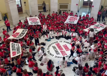La policía del Capitolio de Estados Unidos detuvo a un grupo de manifestantes que protestaban contra Israel en la rotonda del edificio de oficinas de la Cámara de Representantes de Cannon.