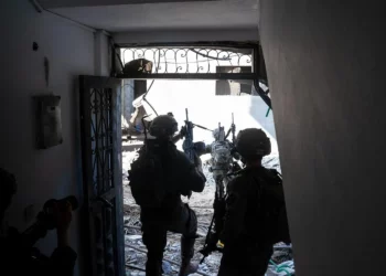 En una foto publicada el 30 de julio de 2024, se observan tropas de las FDI de la 98 División operando en la Franja de Gaza. (Fuerzas de Defensa de Israel)
