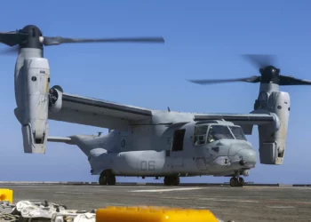 Un MV-22B Osprey, asignado a los “Blue Knights” del Escuadrón de rotor basculante mediano (VMM) 365 (reforzado) de la Marina, aterriza en la cubierta de vuelo del buque de asalto anfibio turco TCG Anadolu (L-400) durante un evento de familiarización entre cubiertas con el buque de asalto anfibio USS Wasp (LHD 1) el 15 de agosto de 2024. (Foto de la Marina de los EE. UU. por el especialista en comunicación de masas de segunda clase Sydney Milligan)