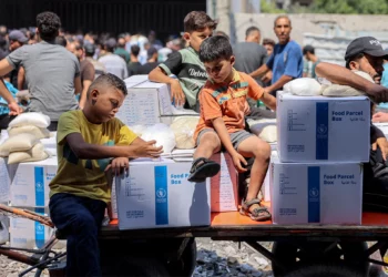 Vacunarán a 640,000 niños en Gaza durante pausas humanitarias