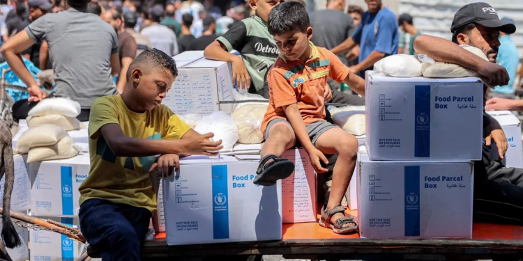 Vacunarán a 640,000 niños en Gaza durante pausas humanitarias