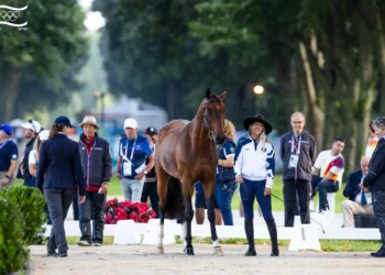 La amazona israelí Ashlee Bond con su caballo Donatello en un evento previo a la competencia olímpica en los Juegos Olímpicos de París 2024 el 31 de julio de 2024. (Lily Forado/Federación Ecuestre de Israel)