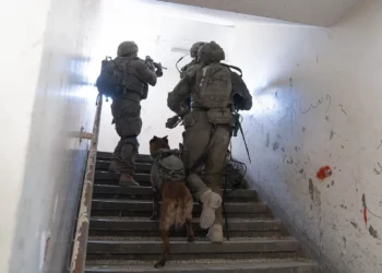 Las tropas de las FDI operan en la Franja de Gaza, en imágenes publicadas el 18 de agosto de 2024. (Fuerzas de Defensa de Israel)