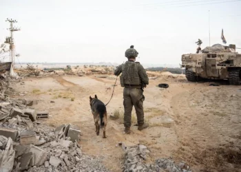 Un soldado de las FDI opera en la Franja de Gaza, en una imagen publicada el 16 de agosto de 2024. (Fuerzas de Defensa de Israel)