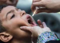 Un niño recibe una vacuna contra la polio en Jan Yunis, en el sur de la Franja de Gaza, el 5 de septiembre de 2024 (Bashar TALEB / AFP)