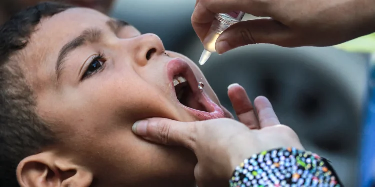 Un niño recibe una vacuna contra la polio en Jan Yunis, en el sur de la Franja de Gaza, el 5 de septiembre de 2024 (Bashar TALEB / AFP)