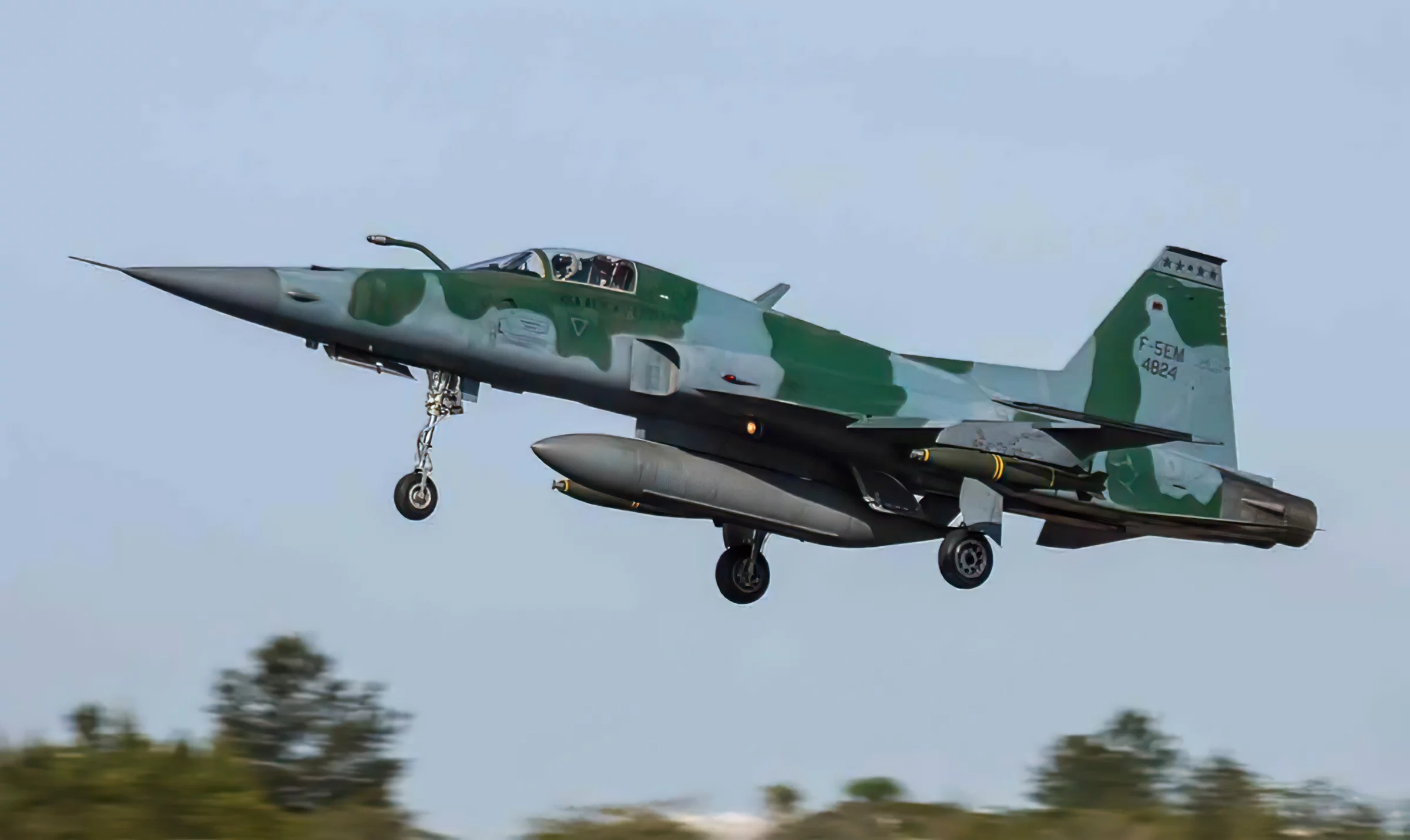 El avión de combate brasileño F-5EM Tiger II de 1973 se estrelló