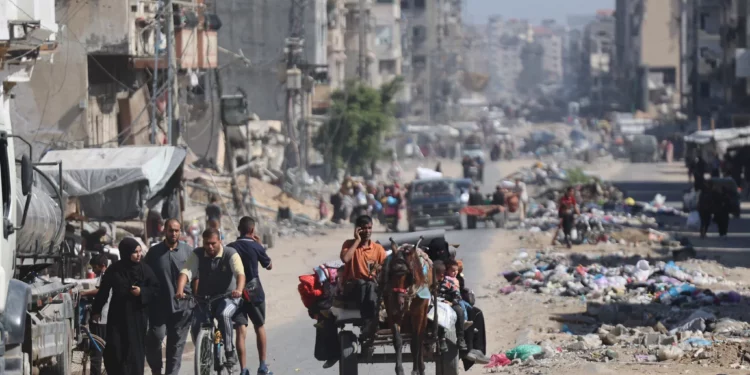 Palestinos transportan sus pertenencias mientras huyen de zonas al norte de la ciudad de Gaza el 12 de octubre de 2024 (Omar AL-QATTAA / AFP)