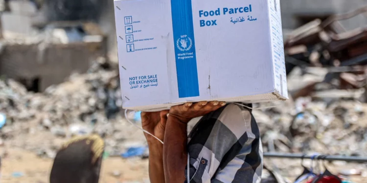 Imagen: Un hombre lleva un paquete de ayuda humanitaria proporcionado por el Organismo de Obras Públicas y Socorro de las Naciones Unidas para los Refugiados de Palestina en Oriente Próximo (OOPS) en el centro de la ciudad de Gaza, el 27 de agosto de 2024. (Omar AL-QATTAA / AFP)