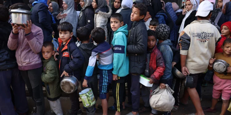 Gazatíes esperan en fila para recibir alimentos en un centro de distribución en Deir al-Balah, en el centro de la Franja de Gaza, el 26 de noviembre de 2024. (Bashar Taleb/AFP)