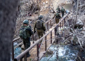 Las tropas de las FDI operan en el río Litani, en el sector oriental del sur del Líbano, en una imagen difundida el 26 de noviembre de 2024. (Fuerzas de Defensa de Israel)