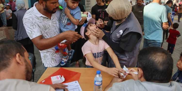 FDI: Se ha completado la campaña de vacunación contra la polio en Gaza