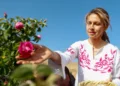 La primera dama de Siria, Asma al-Assad, esposa del presidente sirio Bashar al-Assad, recoge rosas durante el Festival de la Cosecha de la Rosa de Damasco en la aldea de al-Marah, en la región montañosa de Qalamoun, Siria, el jueves 25 de mayo de 2023. (Foto AP/Omar Sanadiki)