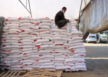 Un trabajador palestino descansa sobre una pila de harina en un centro de distribución de ayuda en la ciudad de Jan Yunis, en el sur de la Franja de Gaza, el 3 de diciembre de 2024, en medio de la guerra en curso entre Israel y Hamás. (Foto de BASHAR TALEB / AFP)