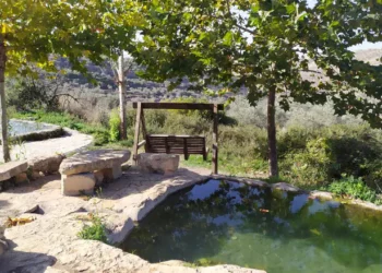 Portavoz del Consejo Regional de Binyamin