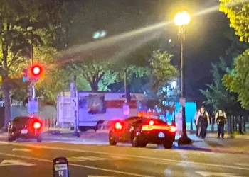 Hombre condenado a 8 años por chocar camión con bandera nazi cerca de Casa Blanca