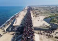 Esta fotografía aérea muestra a habitantes de Gaza desplazados caminando hacia la ciudad de Gaza el 27 de enero de 2025, después de cruzar el corredor de Netzarim desde el sur de la Franja de Gaza. (AFP)