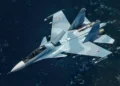 Rusia habría entregado seis Su-30 a cambio de seis elefantes