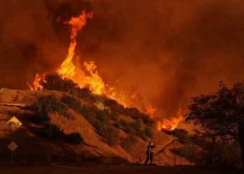 Un bombero combate el incendio Palisades en Mandeville Canyon el 11 de enero de 2025, en Los Ángeles. (Foto AP/Jae C. Hong)