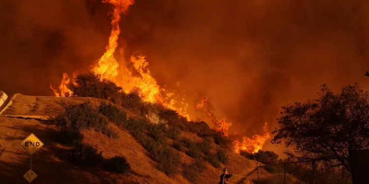 Un bombero combate el incendio Palisades en Mandeville Canyon el 11 de enero de 2025, en Los Ángeles. (Foto AP/Jae C. Hong)