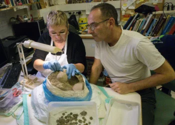 Durante la excavación de la temporada 2023 en la sinagoga de Huqoq, en el norte de Israel, los arqueólogos descubrieron parte del mosaico que muestra a un tigre persiguiendo a un íbice. (Jim Haberman/UNC)