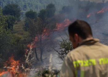 Los bomberos intentan extinguir un incendio después de que misiles lanzados desde el Líbano impactaran áreas abiertas cerca de la ciudad norteña de Safed, el 12 de junio de 2024. (Michael Giladi/Flash90)