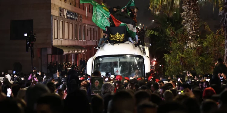 Jóvenes palestinos ondean banderas nacionales y pancartas de Hamás (verde) y Hezbolá (amarilla) mientras se sientan en el techo de un autobús de la Cruz Roja que transporta a decenas de terroristas presos liberados por Israel en la madrugada del 20 de enero de 2025, en la ciudad de Beitunia, en las afueras de Ramallah. (Foto de Zain JAAFAR / AFP)