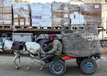 Dos hombres viajan en un carro tirado por burro mientras los camiones que transportan suministros médicos pasan en un convoy en Khan Yunis, en el sur de la Franja de Gaza, el 13 de enero de 2025 (Foto de BASHAR TALEB / AFP)