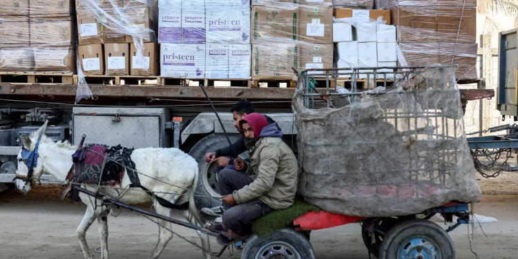 Dos hombres viajan en un carro tirado por burro mientras los camiones que transportan suministros médicos pasan en un convoy en Khan Yunis, en el sur de la Franja de Gaza, el 13 de enero de 2025 (Foto de BASHAR TALEB / AFP)