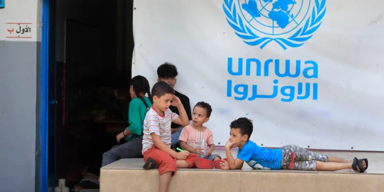 Niños palestinos que huyeron con sus padres de sus casas en el campo de refugiados palestino de Ein el-Hilweh se reúnen en el patio trasero de una escuela de la UNRWA, en Sidón, Líbano, el 12 de septiembre de 2023. (Foto AP/Mohammed Zaatari, Archivo)