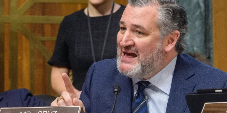 El senador Ted Cruz, republicano por Texas, interroga a los testigos durante una audiencia del Comité Judicial del Senado sobre el fentanilo y la necesidad de una programación permanente de clases, en el Capitolio, el 4 de febrero de 2025, en Washington. (Foto AP/Rod Lamkey, Jr.)