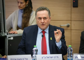 El ministro de Defensa, Israel Katz, se dirige al Comité de Asuntos Exteriores y Defensa de la Knéset, el 21 de enero de 2025. (Noam Moskowitz, Oficina del Portavoz de la Knéset)