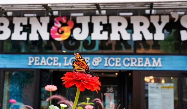 Una mariposa monarca se posa sobre una flor afuera de la heladería Ben & Jerry's, en Burlington, Vermont, el 20 de julio de 2021. (Foto AP/Charles Krupa)