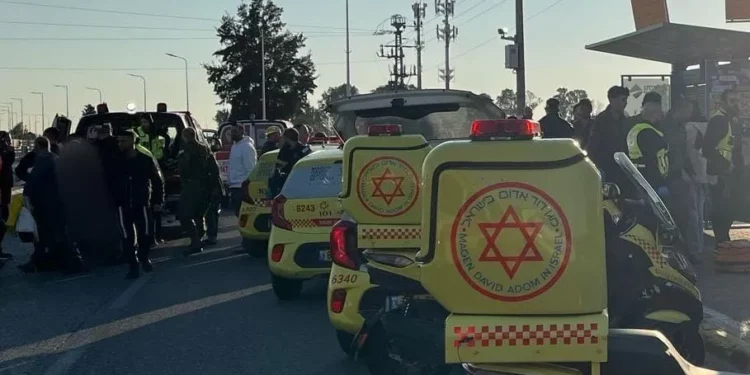 Muere adolescente herida en ataque palestino de embestida