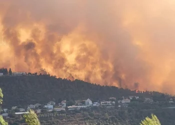 Aviones y bomberos combaten incendios en Beit Shemesh