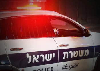 Ilustrativo: Un coche de policía en la escena de un crimen. (lunopark/Shutterstock.com)