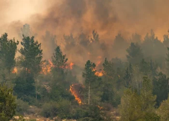 Fuerza aérea de Israel combate incendio masivo cerca de Jerusalén
