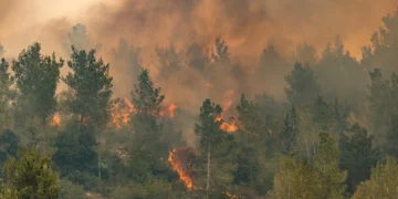 Fuerza aérea de Israel combate incendio masivo cerca de Jerusalén