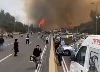 Unidad de rescate de Israel en alerta por incendios en Jerusalén